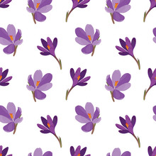 Сrocus Flowers (saffron). A Seamless Pattern With Purple Crocus Flowers (saffron) On A White Background