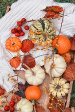 Autumn Still Life. Fruits Of Different Pumpkins Of Interesting Shapes And Colors, Berries And Autumn Leaves, A Warm Sweater. The Mood Of Autumn Comfort And Warmth.
