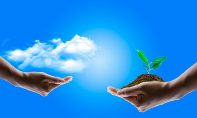 saving energy concept with green earth and tree planting on volunteers' hands.
