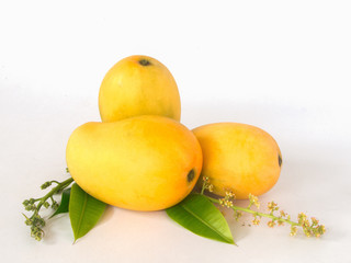 Wall Mural - mango and leaf on white background