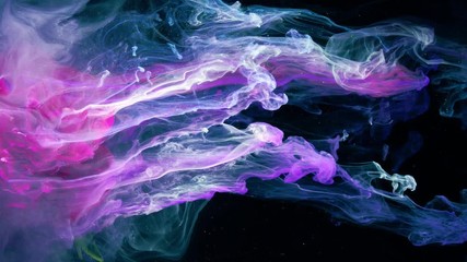 Wall Mural - Magenta spring pion.  Colorful ink in water.