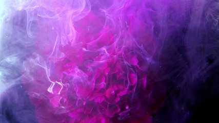 Wall Mural - Magenta spring pion.  Colorful ink in water.