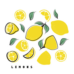 Wall Mural - Set of lemon fruits isolated on white background.