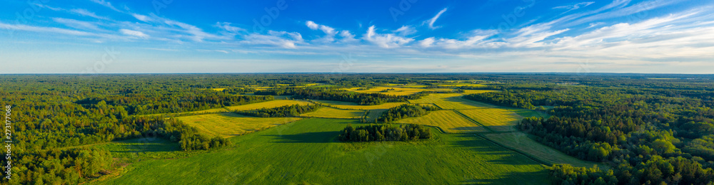 Top aerial panoramic view of green fields and meadows in summer. Abstract landscape with lines of fields, grass, trees, sunny sky and lush foliage. Landscape with drone. - obrazy, fototapety, plakaty 