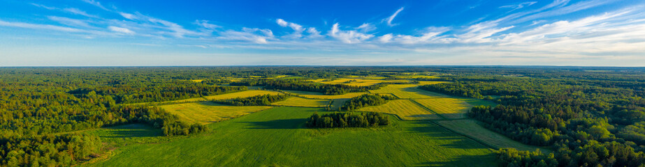 top aerial panoramic view of green fields and meadows in summer. abstract landscape with lines of fi