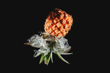 Canvas Print - Fresh and delicious pineapple isolated against dark, black background. Pineapple dropping in water and creating a splash. The concept of healthy eating, consuming fruit.