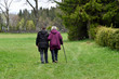 © lotharnahler - zwei frauen gehen auf einer wiese