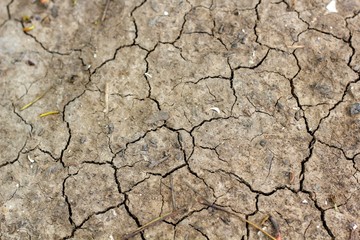 cracked earth texture