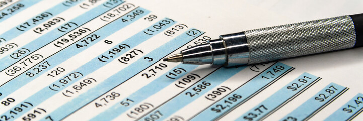 Business composition. Financial analysis - income statement, business plan