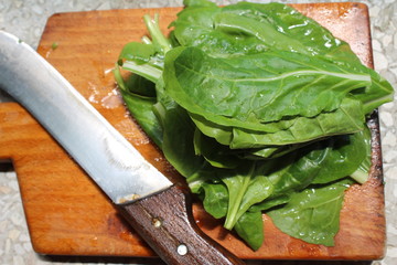 Spinach, a leafy green flowering plant. Raw wet leaves of fresh spinach and knife on the kitchen table from my organic garden. Preparing for cooking