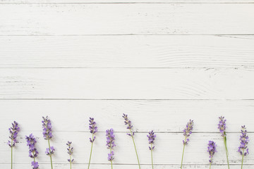 Wall Mural - composition of lavender on white wooden background. border of violet fresh flowers. free space