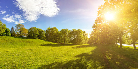 Building land for new construction project on green sunny meadow, plot for construction area