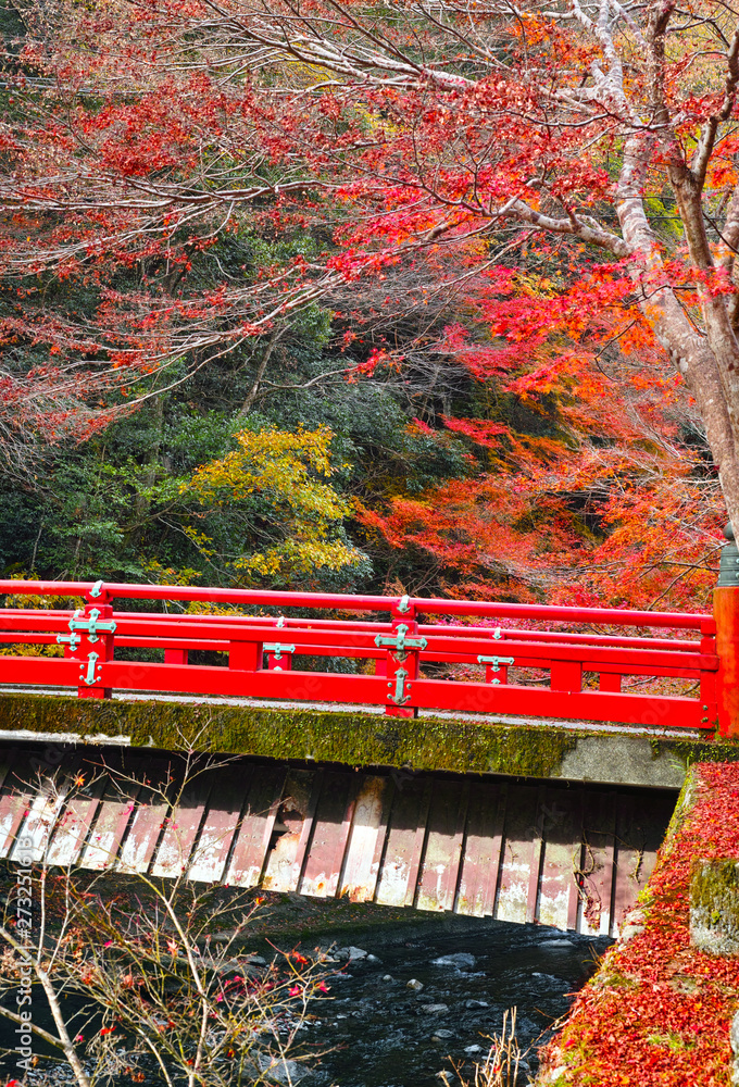 高雄紅葉　京楽四季　水彩画 赤い橋 2018年京都紅葉】高雄・神護寺に行ってきましたよ - 京都町家