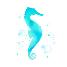Blue Seahorse Character With Watercolor Texture On White Background.