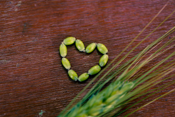 Wall Mural - green Wheat on dark wooden board