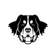 Bernese mountain dog - isolated vector illustration - Vector
