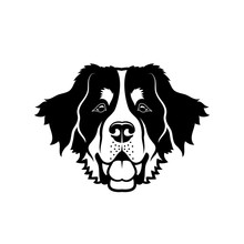 Bernese Mountain Dog - Isolated Vector Illustration - Vector