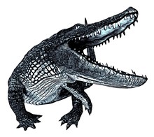 Sketch Of Alligator Isolated On A White Background
