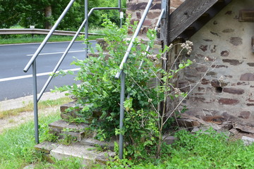 Lehmener Turm, ehemaliger Wohnturm aus dem Mittelalter