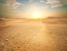 Sandy Desert In Egypt