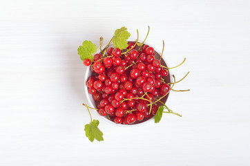 Wall Mural - Red currants in white bowl