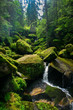 Wasserfall durch moosbedeckte Felsen im Schwarzwald / Cascade through moss covered rocks in black forest