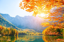Autumn Trees On The Shore Of Hinterer Langbathsee Lake In Alps Mountains, Austria. Beautiful Autumn Landscape