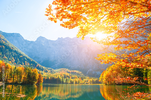 Fotomural Autumn trees on the shore of Hinterer Langbathsee lake in Alps mountains, Austria