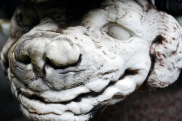 animal head, fragment of sculpture