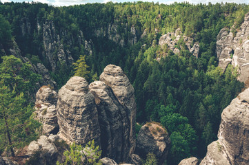 Rocks in the forest