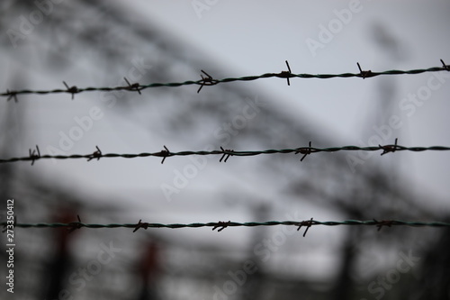 Fotografía barbed wire with the blurred background of a refugee camp