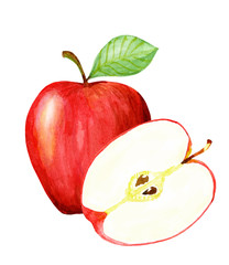 Wall Mural - Watercolor hand drawn red apple. Isolated eco natural food fruit illustration on white background