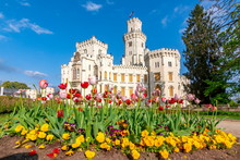 Hluboka Nad Vltavou Castle And Spring Flowers, Czech Republic