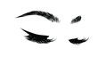© Moschiorini - Hand-drawn woman's sexy luxurious eye with perfectly shaped eyebrows and full lashes. Idea for business visit card, typography vector.Perfect salon look.