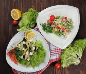 Two salads with vegetables and herbs in plates on a wooden table