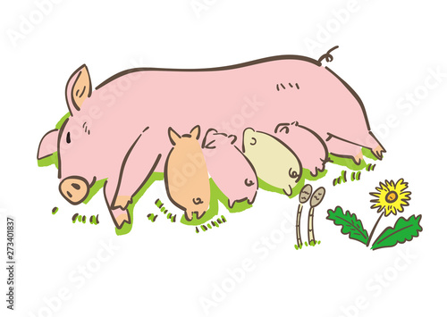 養豚場 授乳する豚 イラスト Stock イラスト Adobe Stock