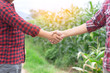© AungMyo - Two man shaking hands in the corn field,Concept of agricultural cooperation