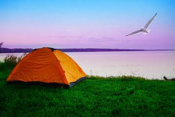 Wall Mural - tourist tent on shore of lake with seagull in morning sky