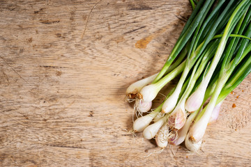 Canvas Print - fresh spring onions