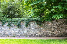Stone Wall Covered With Greenery. Green Thickets Behind The Wall. The Path Along The Wall Among The Abundant Greenery. Stone Fence In Medieval Style