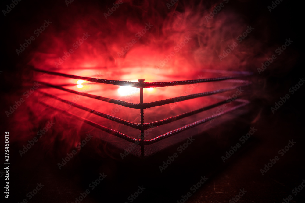Αφίσα Empty boxing ring with red ropes for match in the stadium arena