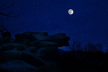 Wall Mural - mountain road through the forest on a full moon night. scenic night landscape of country road at nig