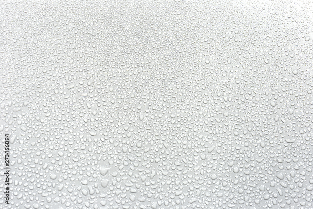 Water rain drops isolated on white background. Stock Photo | Adobe Stock