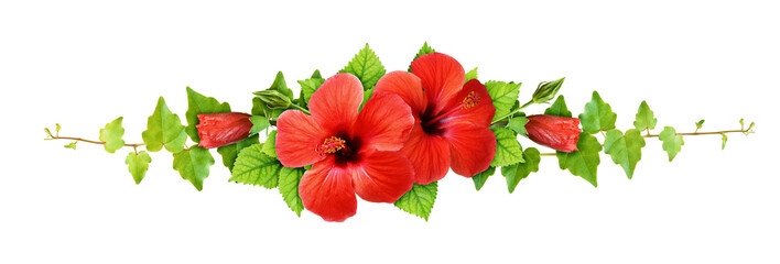 Wall Mural - Ivy leaves and red hibiscus flowers in a line arrangement