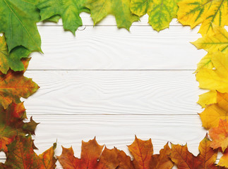 Wall Mural - Autumn leafs colorful rainbow gradient on white wood.