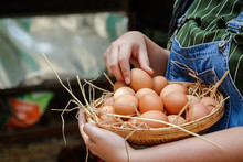 Women Holding A Basket Of Eggs From The Farm