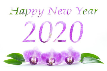 2020 Happy new year greeting. Purple and green letters with orchid blossoms