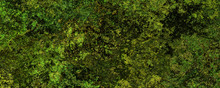 Cracked Mossy Green Wall Texture Background