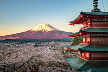 Red Pagoda And Red Fuji In Morning Time