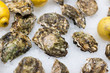 © gitanna - Closed oysters for sale